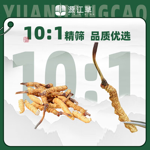 源江草冬虫夏草断虫草甄选断草 实惠装 老年人营养品自食用送礼 断草8克