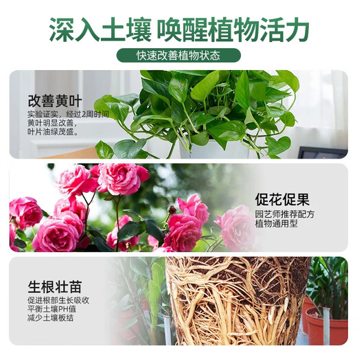 Lingwo plant universal nutrient solution flower fertilizer household concentrated potted wealth tree rich bamboo green dill succulent hydroponic flowers universal 500ml*1 bottle