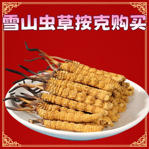 Auténtica área de montaña de nieve, yena l qu gran altitud montaña de nieve cordyceps sinensis hierba entera cordyceps sinensis roto cordyceps sinensis 1 0.33 gramos