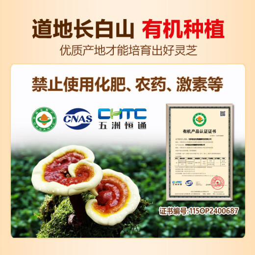 态乐美 破壁灵芝孢子粉长白山林芝袍子粉富含孢子油 扶正固本补益精气 【药典标准】500克