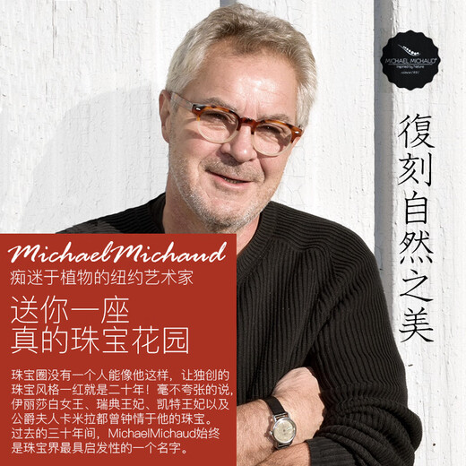 Michael Michaud Deutsche Licht Luxus Schmuck Blume Diamant Schmuck Gold und Silber Brosche Stifte Literary Retro Elegant Fashion Business Geschenkohrringe (4872)