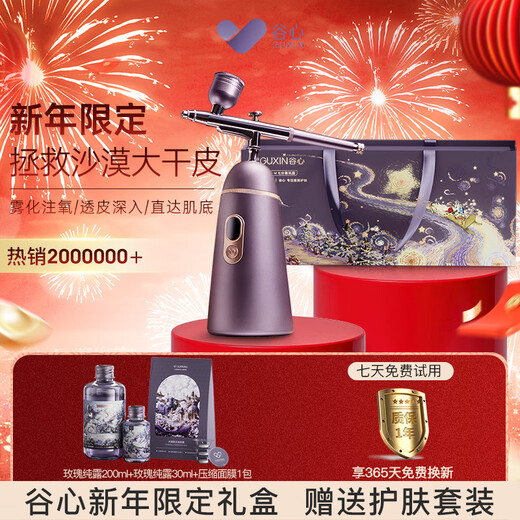GX-Diffusor Guxin Sauerstoffinjektor Nanospray Verbesserte Version der medizinischen Schönheitsreparaturausrüstung, verstellbares Schönheitsinstrument, Heimhydrationsgerät als Geschenk für Freundin, Mutter, Ehefrau, Neujahrsgeschenk. Sauerstoffinjektor der 2. Generation, kostenloses 230 ml Hydrosol + 10 Stück komprimierte Gesichtsmaske