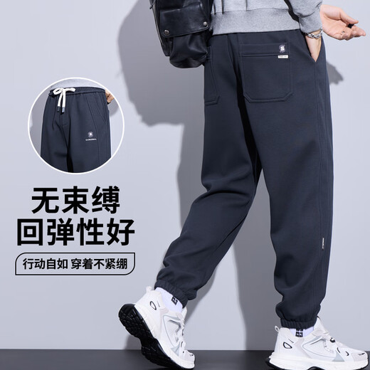 Trueves wardrobe men's spring loose trousers 2025 new workwear harem pants trendy casual pants men's black XL