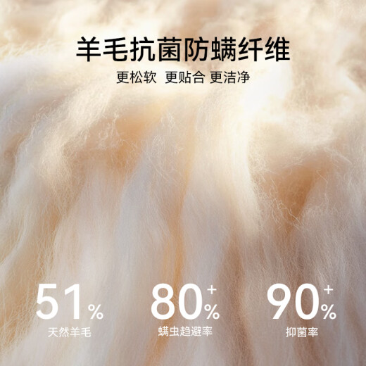 林芃家品（LYNPON HOUSEWARE）【云宿pro+迷瞪】林芃云宿Pro+弹簧床垫 云宿pro+(厚度20cm) 1350mm*2000mm