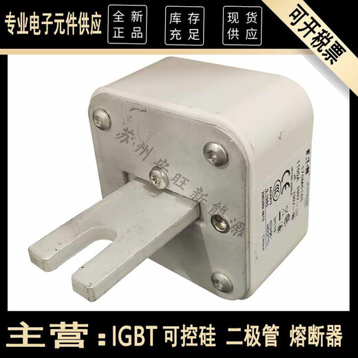 克莱斯曼全新原装现货熔断器170M6165 170M6166 170M6167 170M6168 170M6810