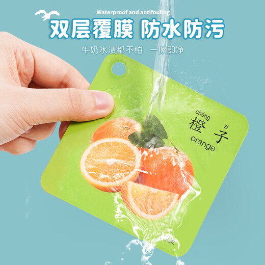 Coran Card cognitif Early Education Animal Card View Pictures and Reading Flash Card Baby Digital Illuminment Young Baby Teaching Aids Toys Deux boîtes d'animaux + 180 Images haute définition