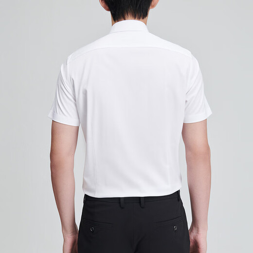 Camisa formal de Newshun Bird Summer Summer New Style Mass's Business Business Camiseta Formal de manga corta
