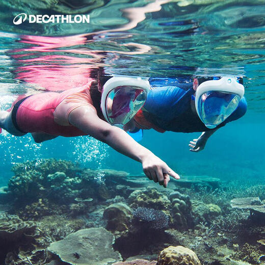 迪卡侬浮潜面罩潜水镜装备成人全干式呼吸面镜游泳装备 升级款【成人款M/L】青紫色