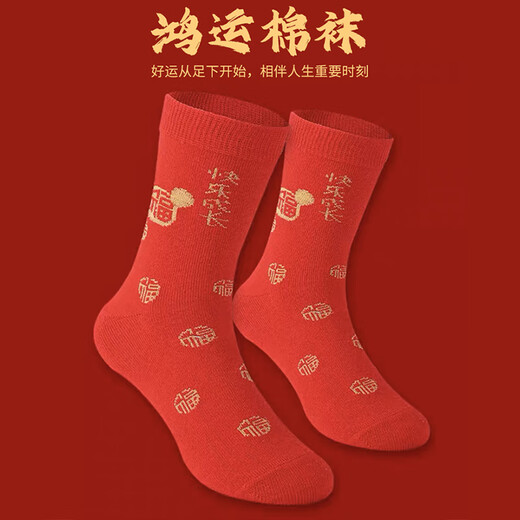 Catman children's zodiac year underwear, year of the horse, boys and girls, red underwear, medium and large children's pure cotton antibacterial Christmas underwear, boys' lucky stars, 2 pairs of socks + 2 pairs of underwear, 160, height recommendation 145-155cm