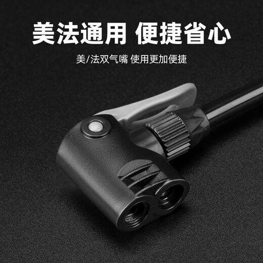 洛克兄弟公路山地自行车打气筒高压电动电瓶车家用带气压表充气泵 黑色