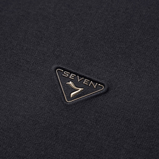 Qipai long-sleeved POLO shirt for men in spring business commuting to work casual lapel bottoming top