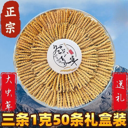 Auténtica área de montaña de nieve, yena l qu gran altitud montaña de nieve cordyceps sinensis hierba entera cordyceps sinensis roto cordyceps sinensis 1 0.33 gramos