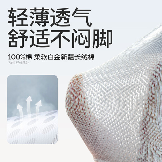 Babybabysocken für Männer und Frauen im Sommer Dünne mittelgroße Röhrchen Frühling und Herbst reines Baumwoll Typ A Mesh Knochenlosen Neugeborenen Socken Dinosaurierauto Sommer Mesh-100% reines Baumwoll 5 Paare 2-3 Jahre alt für Fußlänge 14-16cm Schuh Größe 21-24