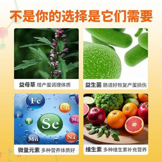 Egg Duoduo for Little Pets, Egg-laying Spirit, Turtle, Parrot Nutrition, Electrolytes, Multivitamins for Chicken, Duoduo Eggs for Little Pets, 10 cans/100g (spoon included)