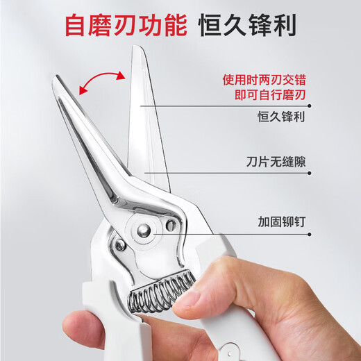 瑞士力康厨房剪刀专用多功能强力鸡骨剪家用不锈钢食物剪刀磁吸