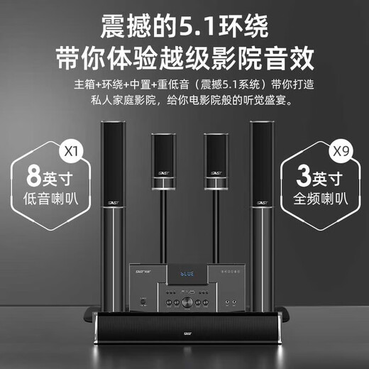 先科（SAST）家庭影院套装5.1声道音响落地组合家用功放机音箱客厅影院电视客厅影音室麦克风款