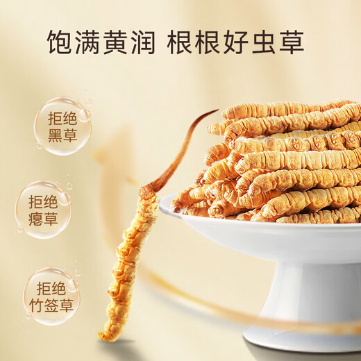Dongyangguang Cordyceps sinensis 3-4 roots/g20g about 70 roots tonic gift box Cordyceps nutritional supplements for elders