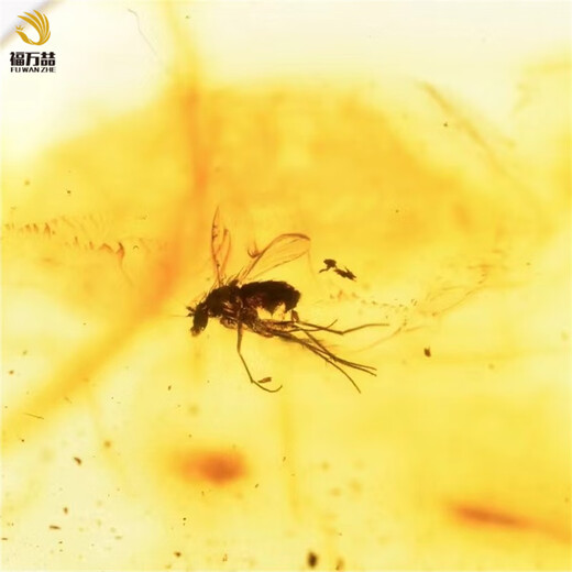 Fuwanzhe Insect Amber Pendant Natural Insect Amber Beeswax Pendant Fly Amber Water Drop Pendant 8.27g