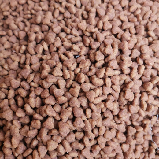 Elephant Dog Food Puppy Milk Cake Adult Dog Food 1 Jin Jin equals 0.5 kg 3 Jin Jin equals 0.5 kg 20 Jin Jin equals 0.5 kg 40 Jin Jin equals 0.5 kg Teddy Golden Retriever 1 Jin Jin equals 0.5 kg Puppy Food