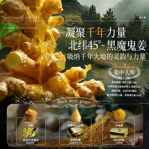 
OHBT ginger oil-controlled shampoo 500g, hair-controlled oil-controlled shampoo