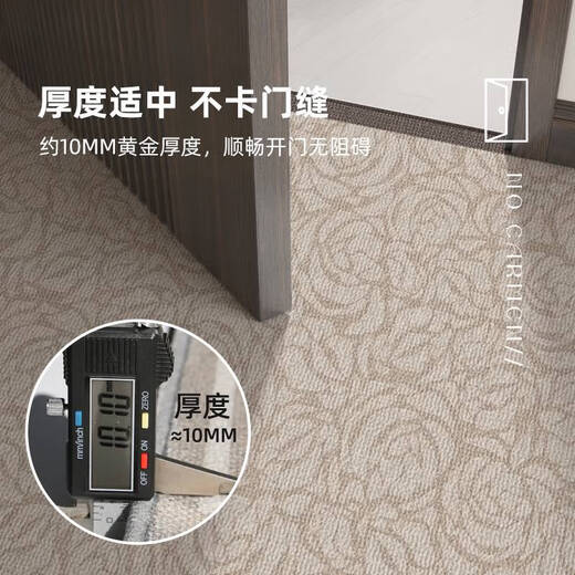 咏幻地垫入户门垫感门口玄关脚垫耐脏免洗地毯家用门外可裁剪垫子 朝暮-14109 140cm*160cm升级9代耐脏法尔曼