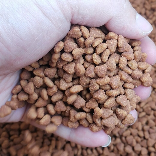 Elephant Dog Food Puppy Milk Cake Adult Dog Food 1 Jin Jin equals 0.5 kg 3 Jin Jin equals 0.5 kg 20 Jin Jin equals 0.5 kg 40 Jin Jin equals 0.5 kg Teddy Golden Retriever 1 Jin Jin equals 0.5 kg Puppy Food