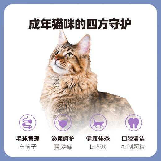Pure&Natural Cat Food General Cat Food for Adult Cats Hypoallergenic Hairball Management Classic Series Trial 50g