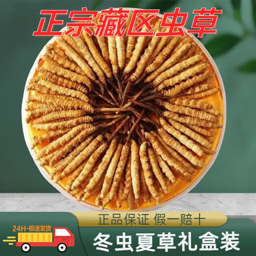 西那藏曲虫草雪山冬虫夏草虫草王雪山高海拔滋补送礼盒装全网比价 西藏那曲虫草10条装(4条一克)