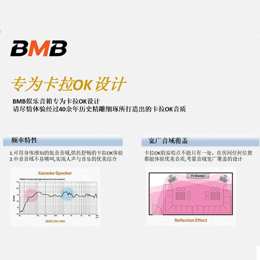 BMB音响CSD880三分频五单元家庭ktv高端套装家用k歌全民麦克风唱歌全套设备视听影音功放音箱卡拉ok 豪华版一对音箱套装二