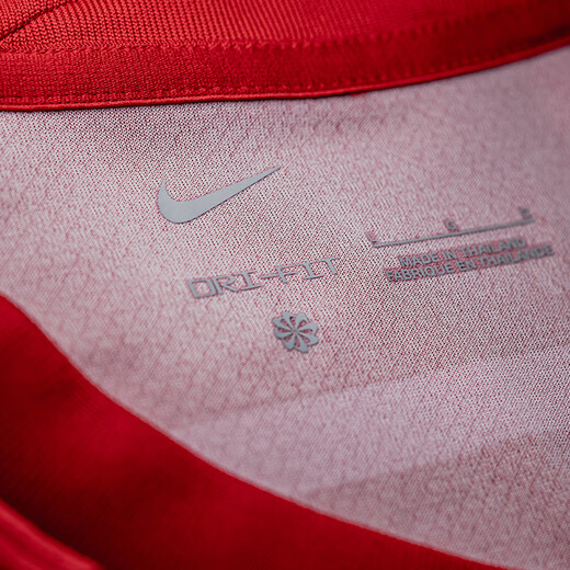 耐克（NIKE）酷锐足球耐克中超2025赛季成都蓉城主场球迷版球衣HM6166-687 费利佩9号全套印字 2XL
