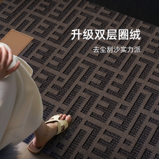 溥畔入户地垫玄关轻奢感进门门口入门地毯耐脏门垫门外脚垫 朝暮-14109 80cm*160cm