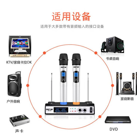 先科（SAST）家庭影院套装5.1声道音响落地组合家用功放机音箱客厅影院电视客厅影音室麦克风款