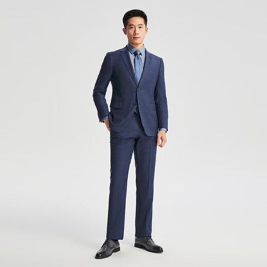 雅戈尔（YOUNGOR）西服男753款修身套西上衣蓝灰隐格纹面料抗皱挺括2025商场同款 蓝灰YOTX212753HIY上衣 175B 175/96A （推荐75-80公斤）