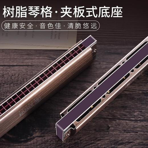 Swan Deutsch importiert Cherry Swan 28-Loch-Mundharmonika High-End High-End Adult Professional Performance Grade Polyphonische C Key Professionelle Leistung Grade Lichtfarbe 28-Loch-Stress C Key