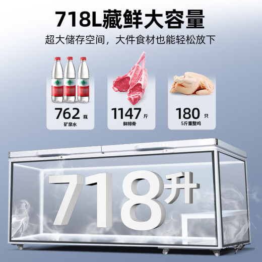 星星（XINGX）冰柜卧式冷柜商用大冰柜单温大容量冷藏冷冻转换柜518升冰柜冷冻柜顶盖门速冻保鲜雪柜 【新款】718升|低温-35℃ 咨询改价