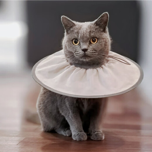 Tangqi pet Elizabethan sterilization care collar cat and dog grooming collar anti-licking and biting small dog headgear Coco milk M (suitable for 5-10 Jin Jin equals 0.5 kg)