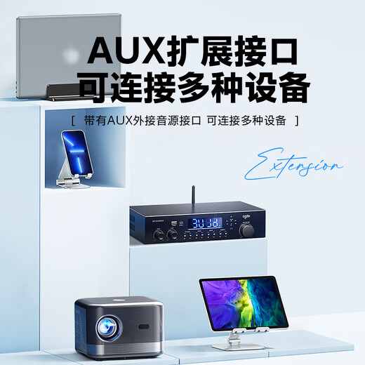 Patriot No wiring required One to two 10-inch wireless wall-mounted conference room Bluetooth professional speaker dance studio conference audio home indoor set gym classroom stage