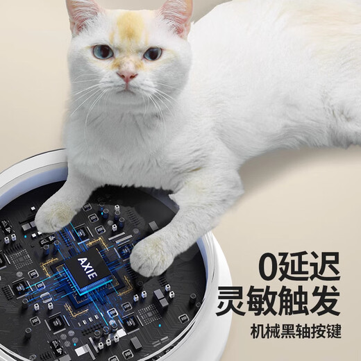 Beiyipin cat talking button pet communication button sounder dog ringing bell to eat toy recording voice training artifact