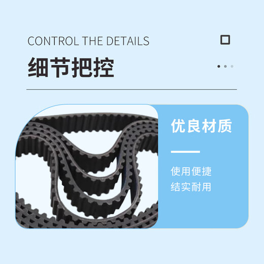 Biaoyan belt F60XHPL=10 meters