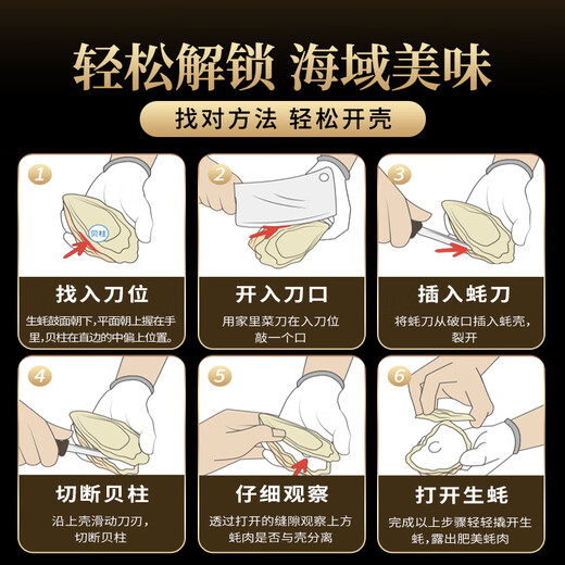 Lighthouse Jellyfish Fresh Rushan Oyster No. 2XL Net weight 5 Jin Jin equals 0.5 kg Straight from the source