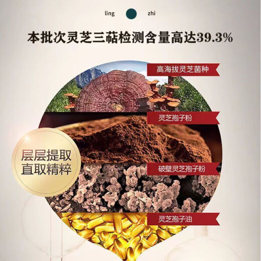 美国品牌进口灵芝孢子油胶囊 成人品破壁灵芝孢子粉浓缩萃取