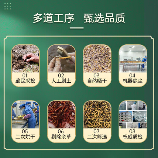 昭鹰之峰【野生】冬虫夏草 西藏那曲大号断草送父母送长辈 家庭滋补实惠装 中号断虫草 30克装【全家滋补佳选】