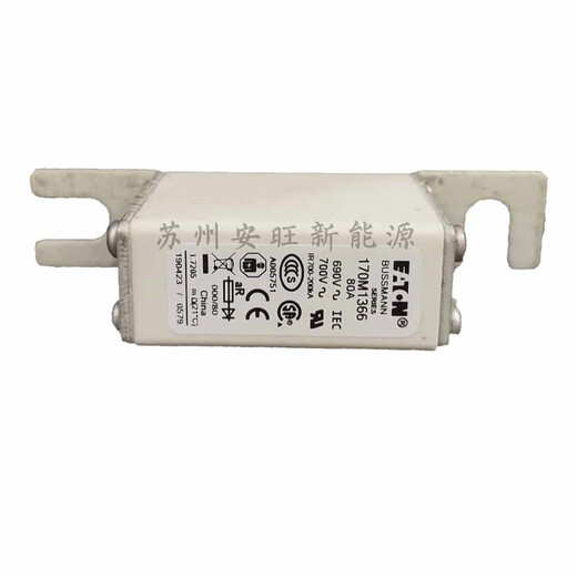 CNOBLE巴斯曼熔断器170M1366 170M1368 170M1369 170M1371 170M1372保险 更多型号请咨询客服