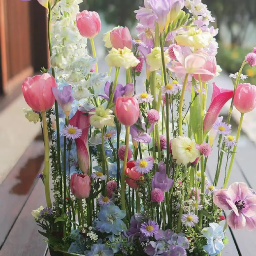 野花组合花种子除虫菊花种籽子四季播种开花格桑花花籽太阳花阳台 野花组合花种子【88种组合】五颜 四包新籽籽【3889粒粒】多种组合