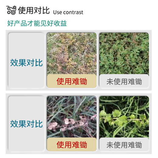 Guoguang Difficult to Hoe 48% Triclopyrronate Manila Ryegrass Gramine Lawn Dandelion Pesticide Herbicide 100ml