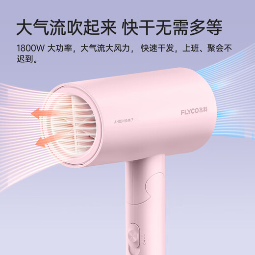 FLYCO negative ion hair dryer household quick-drying portable high-wind hot and cold air hair dryer FH6278