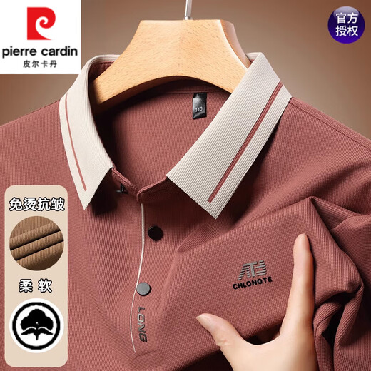 Pierre Cardin T-shirt à manches longues pour hommes 2025 Spring and Automne New Style Business Casual Loose Base Polo Shirt Top Vêtements pour hommes 16823 vert clair M 165 [suggéré 95-120Jin [Jin est égal à 0,5 kg]]]