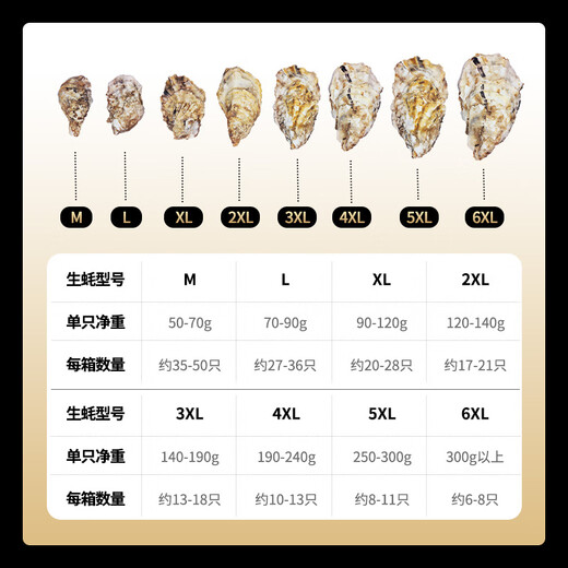 Lighthouse Jellyfish Fresh Rushan Oyster No. 2XL Net weight 5 Jin Jin equals 0.5 kg Straight from the source