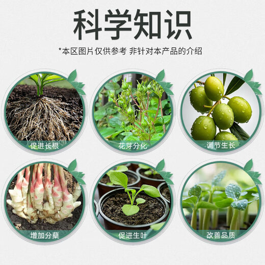 Xiannong 0.1% triacontanol plant growth regulator, flower and fruit preserving medicine, wheat, rice and peanut flower bud differentiation and yield increase 200g*1 bottle