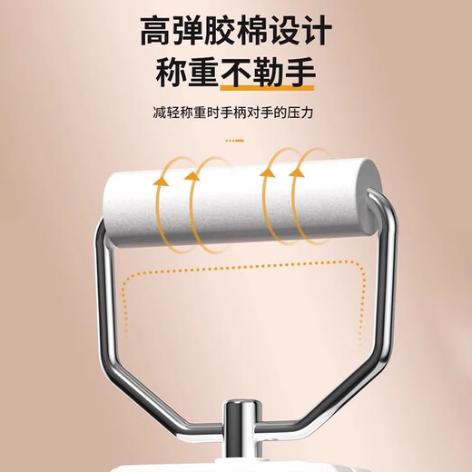 凯丰 便携式手提秤50kg电子称行李秤快递秤弹簧秤电子秤精准克称 【充电款白色】称重0.05kg-50kg